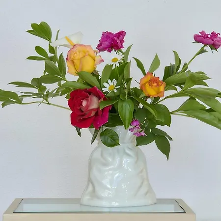 Rosa 빌라 리에르나